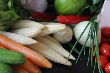 fresh vegetables and herbs, oregano, sage, chive, parsley, dill, onion, cucumber, green vegetables,  red vegetables, tomatoes, peper, red peper,  