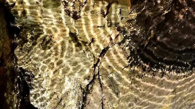 G&ouml;lge Oyunları