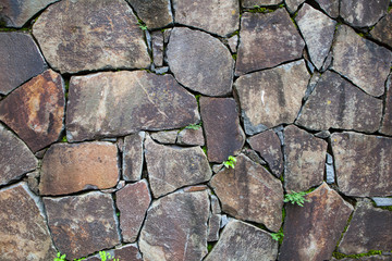 Old stone wall with leaves and moss