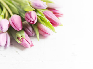 Beautiful pink tulips on white-plank background 