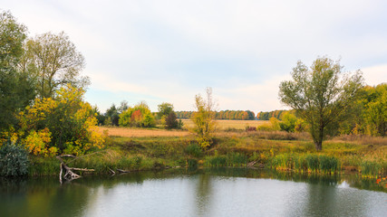 Lake and plants
