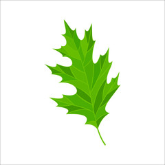 Fototapeta premium leaf icon 