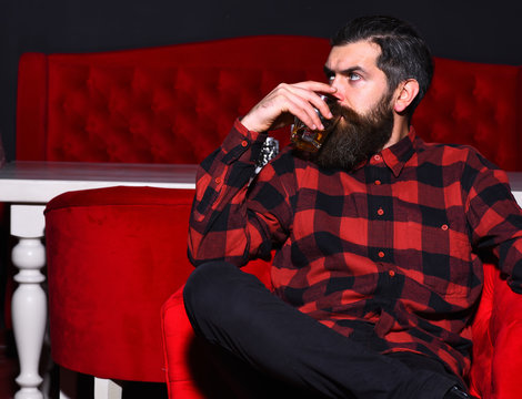 Bearded Man Hipster Holding Glass Of Whiskey In Red Chair