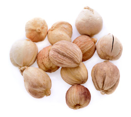 Siam Cardamom isolated on white background.