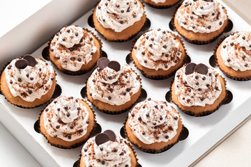 Coffee cupcakes with mocha buttercream and chocolate decorations. Top view
