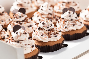 Coffee cupcakes with mocha buttercream and chocolate decorations