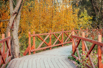 Wooden road in the autumn forest