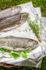 Fresh whole trout for grill in the garden