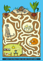 Mole Maze Game