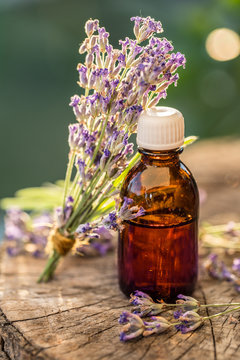 Fototapeta Bunch of lavandula or lavender flowers and oil bottle are on the old wooden table.