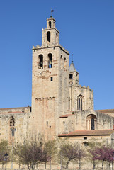 Fototapeta na wymiar Monasterio de San Cugat 
