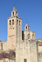 Fototapeta na wymiar Monasterio de San Cugat 