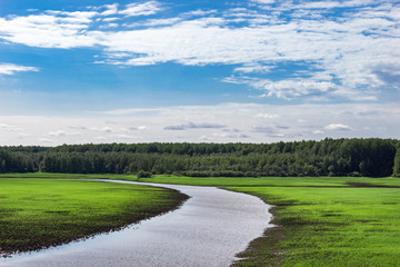 Naklejka premium Beautiful landscape with river, green field, forest and blue sky