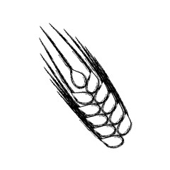 Beer and brewery icon vector illustration graphic design