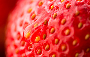 Droplet on Strawberry A - 141498500