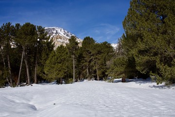 Lukmanier pass