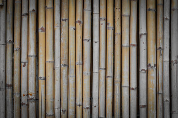 Dry bamboo background texture detail.