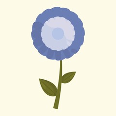 beautiful flower icon over white background. colorful design. vector illustration