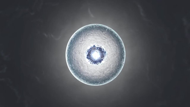 3D rendered Animation of the Mitosis and replication of a generic biological Cell.

