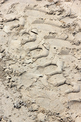 trace whheel on sand