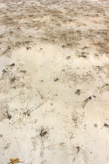Wet sand