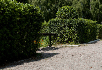 Bench in the park with armrest  in the form of heart