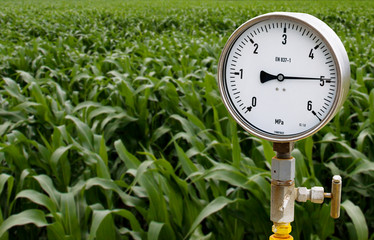 Pressure gauge in oil and gas production process for monitor condition