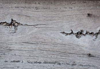 Texture of old wooden background,abstract detail.