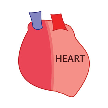Realistic heart symbol color text