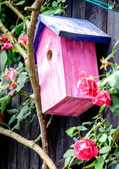 wooden birdhouse