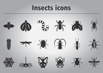Collection of stylish vector icons insects