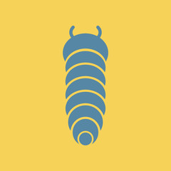 insect caterpillar
