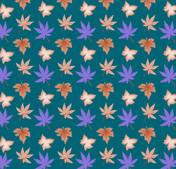 Contrasting leaves on the background