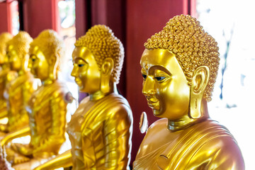 Golds Buddhas