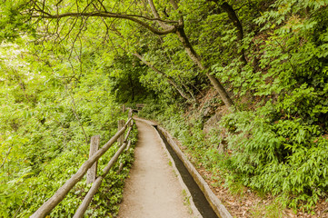 Algund, Dorf, Waalweg, Algunder Waalweg, Wanderweg, Spazierweg, Waldweg, Frühling, Wanderferien, Vinschgau, Südtirol, Italien