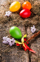 Easter eggs on wooden background. Spring concept on plank. Color mix eggs with nature decoration. 