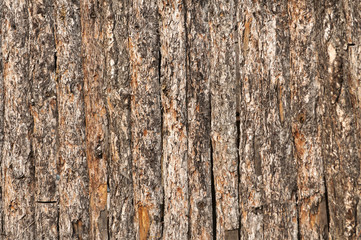 Wooden fence of raw pine bark closeup as natural background
