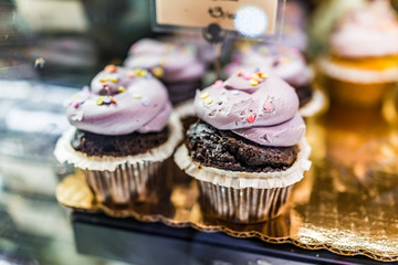 Lavender cupcakes on display in bakery