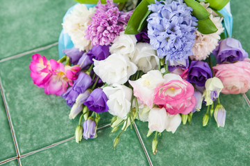 Verschiedene bunte Freuhlingsblumen