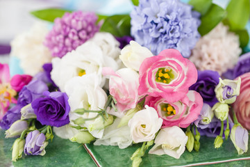 Verschiedene bunte Freuhlingsblumen