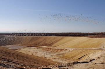 Garbage on the city landfill. Soil polution. Environmental protection. Extraction of biogas. Quarry...