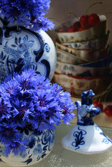 blue cornflowers, delft blue pottery, still life dutch painting background