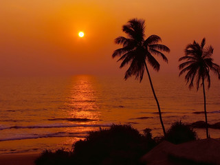Silhouette of two palm trees at sunset on the backdrop of the Indian ocean, Bentota, Sri Lanka.