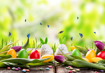 Easter eggs on wooden background. Spring concept on plank. Color mix eggs with nature decoration. 