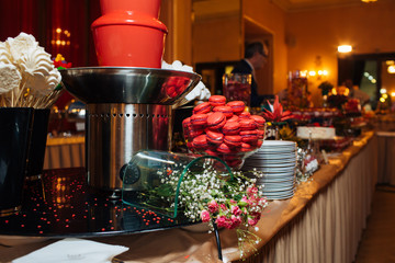 Great catering in the restaurant, canapés and various snacks, sweets catering