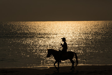 Silhouette equestrian on beach, Sea background