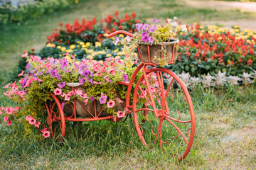 Fototapeta premium Decorative Vintage Model Old Bicycle Equipped Basket Flowers Garden. Toned Photo.