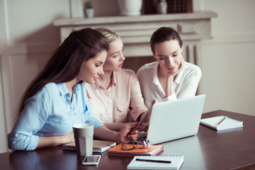 side view of focused businesswomen working on new project together