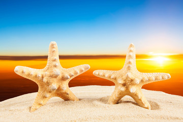 Fototapeta na wymiar Summer vacation concept. Summer Holidays in Beach Seashore. Summer background. Holiday season.