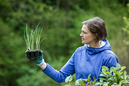Woman gardener with seedlings prepared for planting